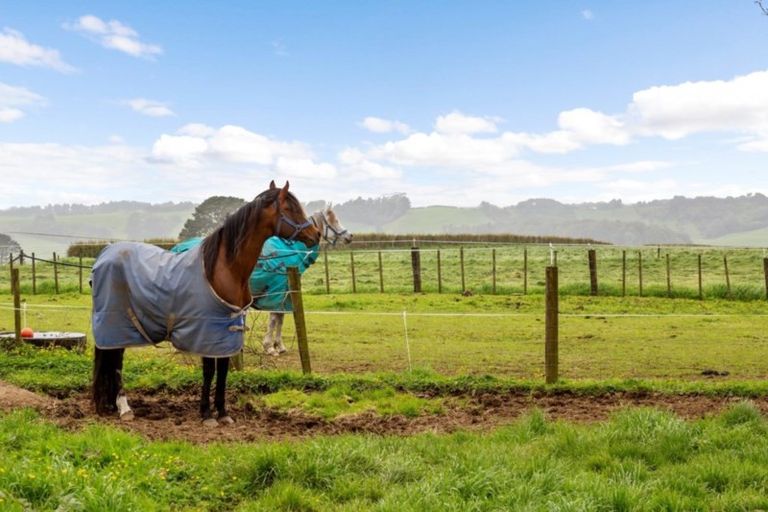 Photo of property in 389 Hursthouse Road, Tarurutangi, Inglewood, 4389