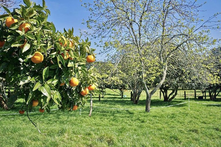 Photo of property in 703 Old Coach Road, Pongakawa, Te Puke, 3186