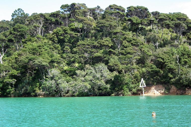 Photo of property in 96 North Road, Kaitaia, 0410