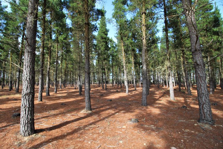 Photo of property in 390d Letts Gully Road, Letts Gully, Alexandra, 9393