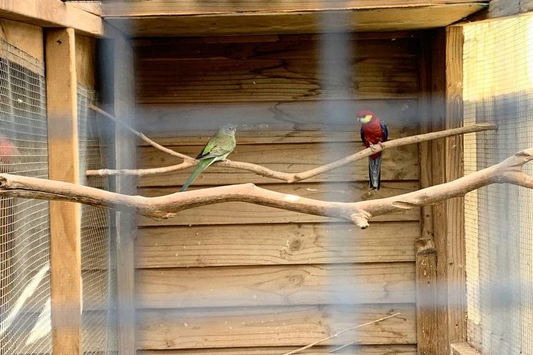 Photo of property in 210 Coulter Road, Te Awamutu, 3879