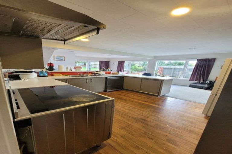 Photo of property in 25 Elizabeth Place, Ferndale, New Plymouth, 4310