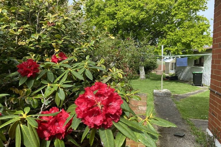 Photo of property in 260 Highcliff Road, Shiel Hill, Dunedin, 9013