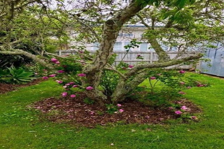 Photo of property in 17 Crispe Road, Clarks Beach, 2122