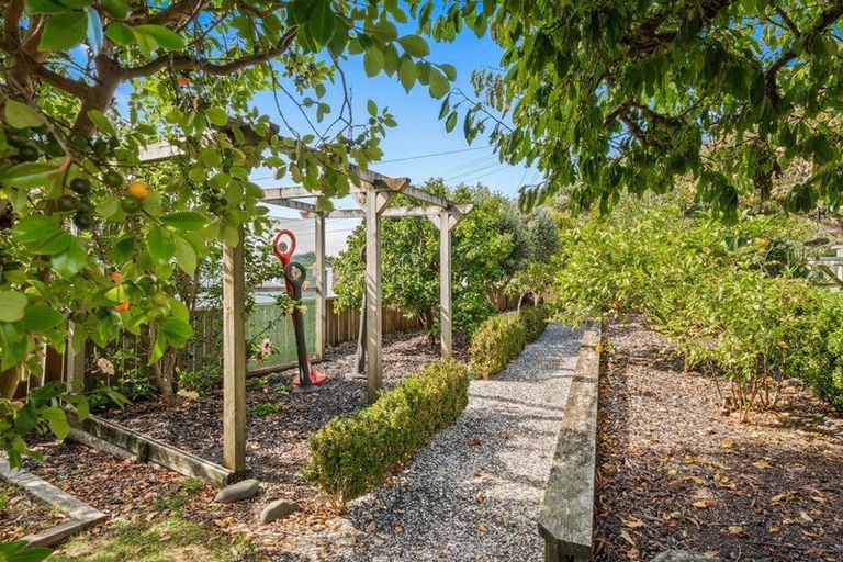 Photo of property in 19 Alexander Road, Algies Bay, Warkworth, 0920