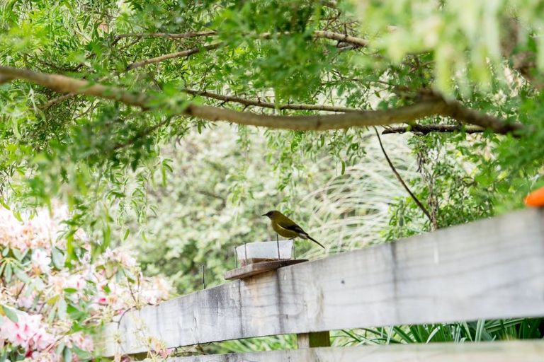 Photo of property in 14 Tweed Street, Kinmont Park, Mosgiel, 9024