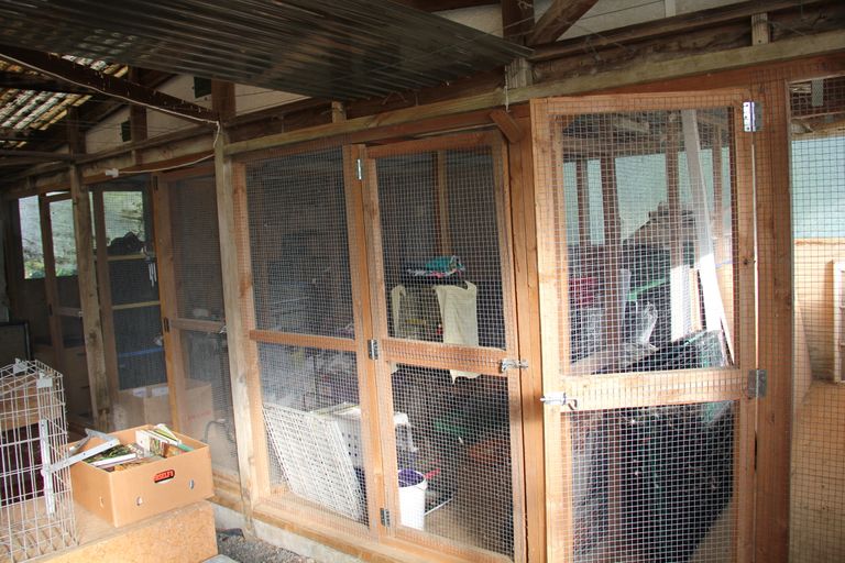 Photo of property in 85 Newton Road, Maungatapere, Whangarei, 0170