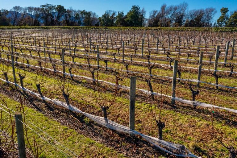 Photo of property in 34a Ferry Road, Days Bay, Lower Hutt, 5013