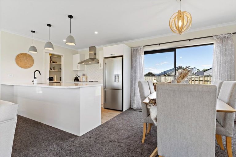 Photo of property in 43 Gimson Street, Solway, Masterton, 5810