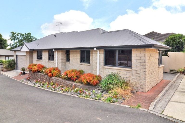Photo of property in 18c Alison Street, Hamilton Lake, Hamilton, 3204