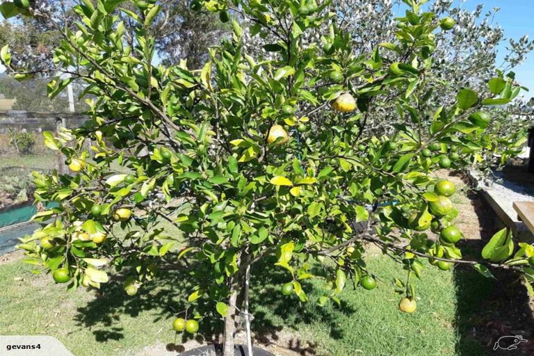 Photo of property in 3353 Mangakahia Road, Pakotai, Whangarei, 0172