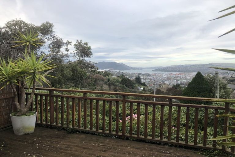 Photo of property in 158 Sidey Street, Calton Hill, Dunedin, 9012
