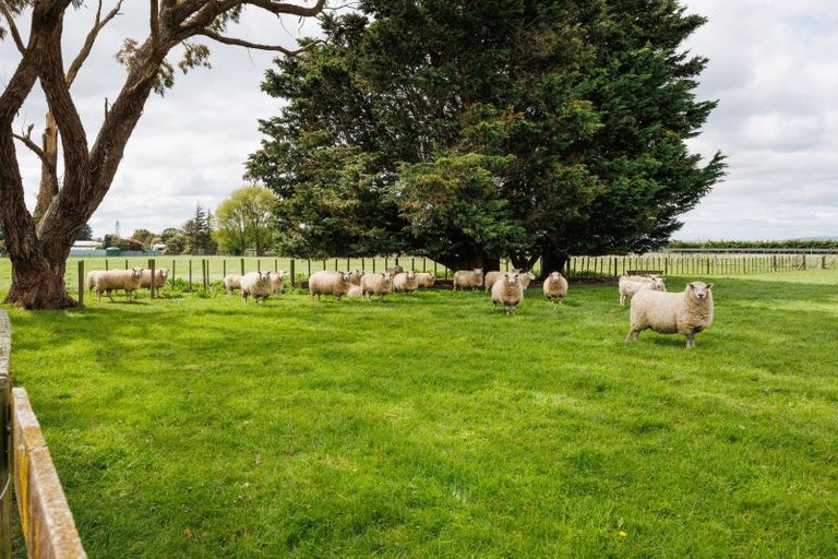 Photo of property in 11 Lawton Road, Feilding, 4775