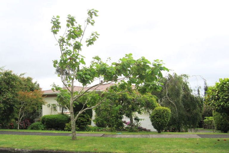 Photo of property in 15 Hamlet Place, Pukekohe, 2120