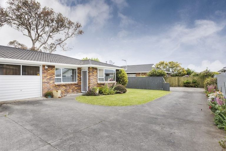 Photo of property in 10a Millar Street, Terrace End, Palmerston North, 4410