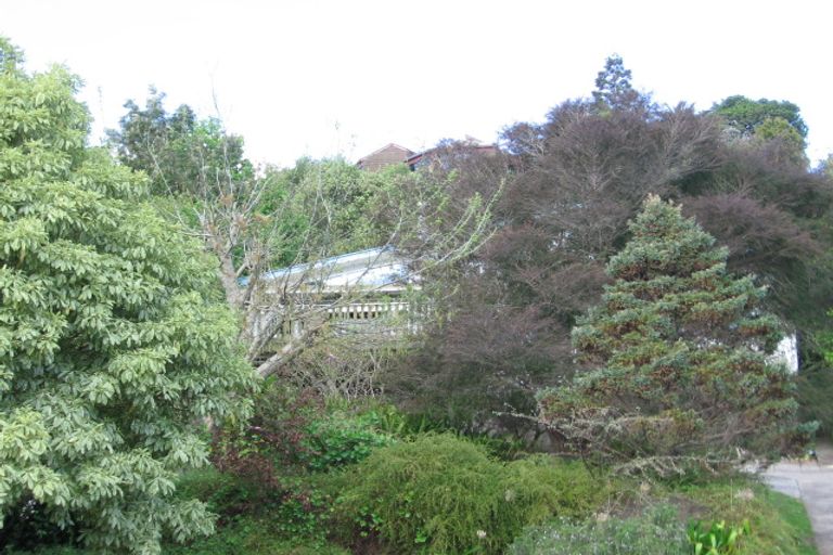 Photo of property in 49 Carlton Street, Bellevue, Tauranga, 3110