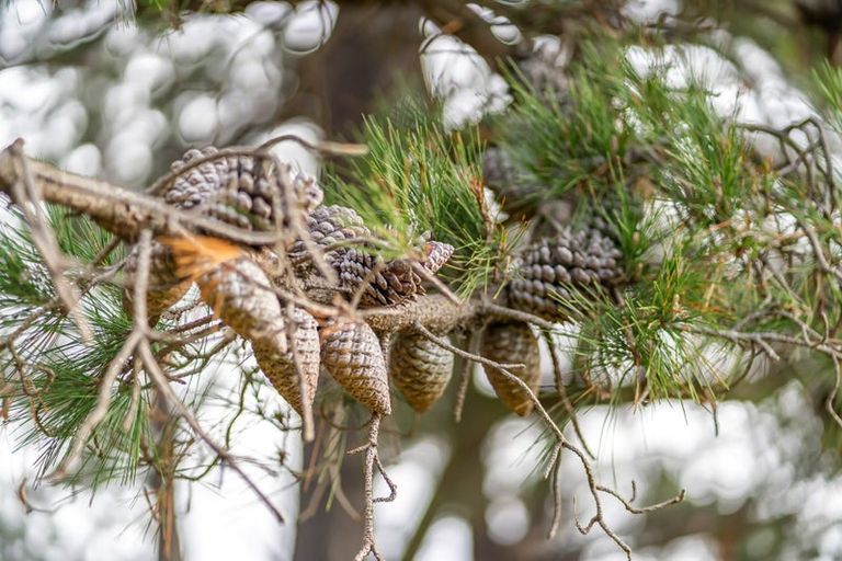 Photo of property in 105b Bradey Road, Pauatahanui, Porirua, 5381