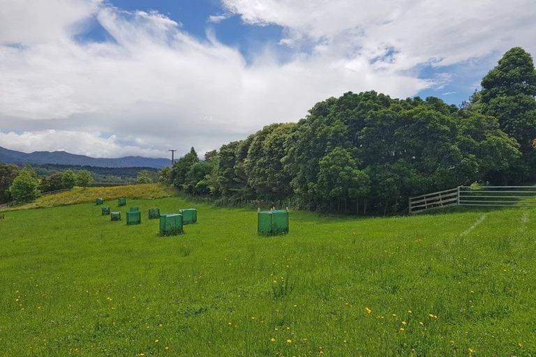 Photo of property in 23 Turner Road, Whakamarama, Katikati, 3181