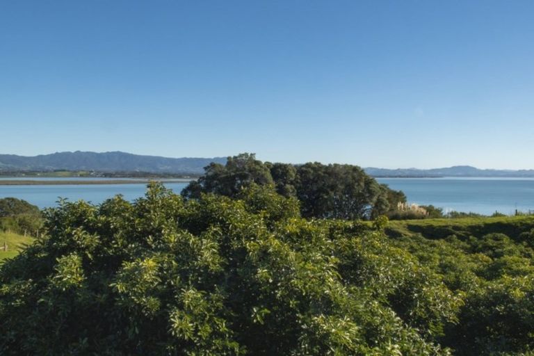 Photo of property in 340d Pahoia Road, Whakamarama, Tauranga, 3172