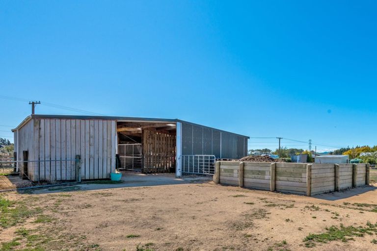 Photo of property in 164a Awahuri Feilding Road, Feilding, 4775