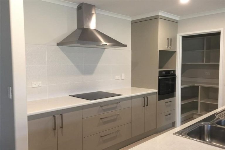 Photo of property in 255 Dixon Road, Fitzroy, Hamilton, 3206