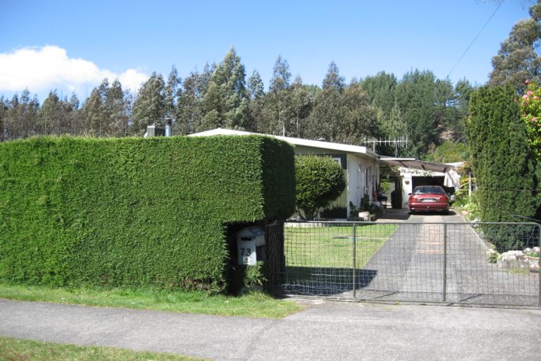 Photo of property in 73 Te Herekiekie Street, Turangi, 3334