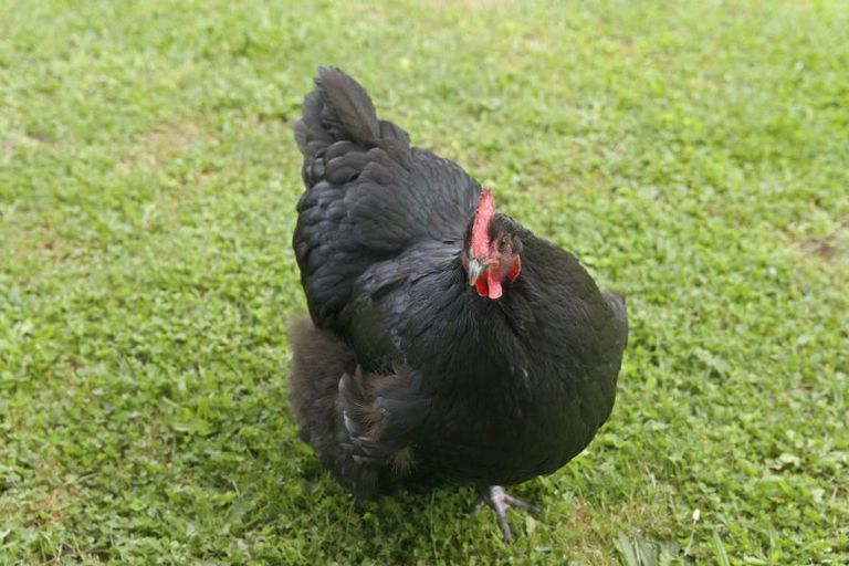 Photo of property in 372a Crawford Road, Minden, Tauranga, 3171