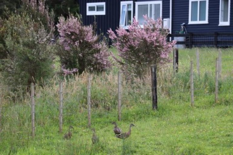 Photo of property in 1281 Whangaripo Valley Road, Whangaripo, Wellsford, 0972