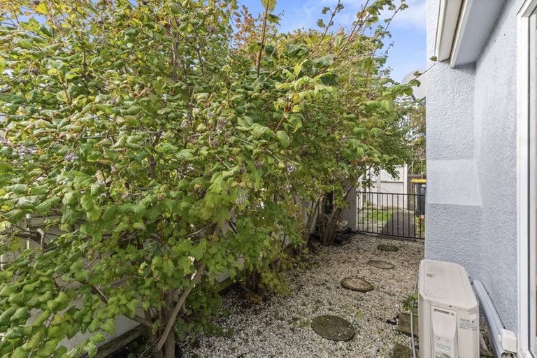 Photo of property in 177b Bay View Road, South Dunedin, Dunedin, 9012