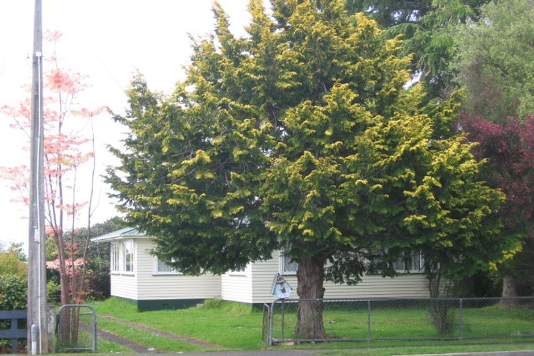 Photo of property in 3 Page Street, Morrinsville, 3300