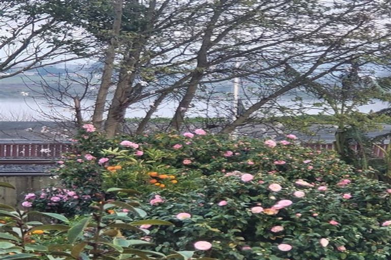 Photo of property in 17 Hakanoa Street, Huntly, 3700