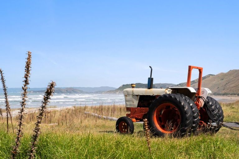 Photo of property in 6 Makorori Beach Road, Makorori, Gisborne, 4073