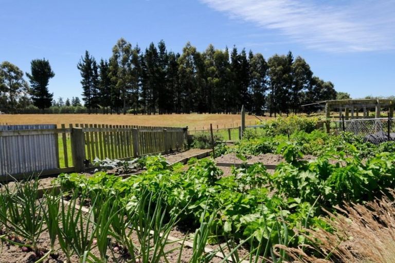 Photo of property in 192 Waihao Back Road, Waimate, 7979