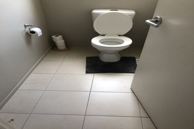 Photo of property in 111 Baverstock Road, Flat Bush, Auckland, 2016