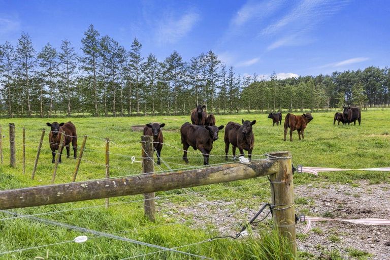 Photo of property in 32 Bramleys Road, Flaxton, Kaiapoi, 7691