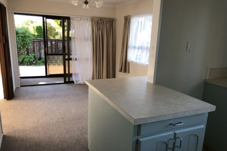 Photo of property in 111 Kings Avenue, Matua, Tauranga, 3110
