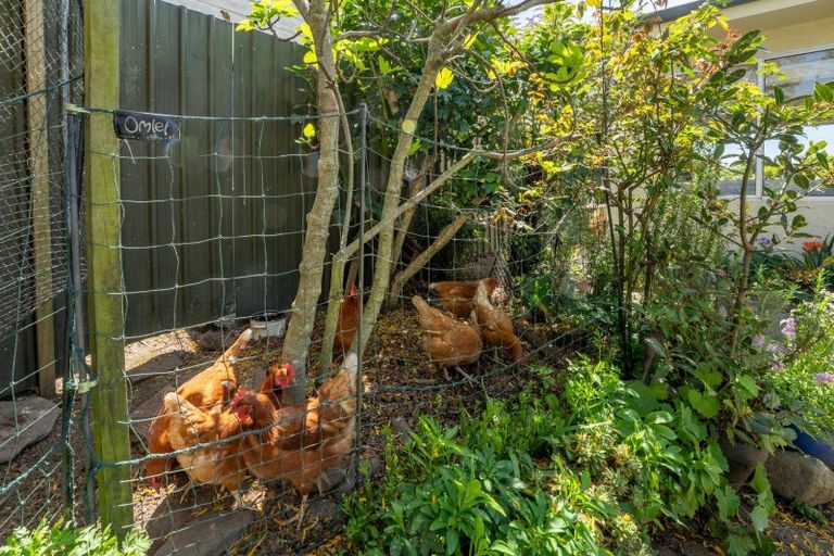 Photo of property in 1/230 Hampden Street, Nelson South, Nelson, 7010