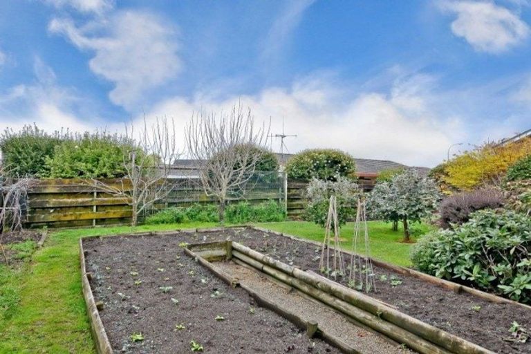 Photo of property in 44 Endeavour Avenue, Flagstaff, Hamilton, 3210