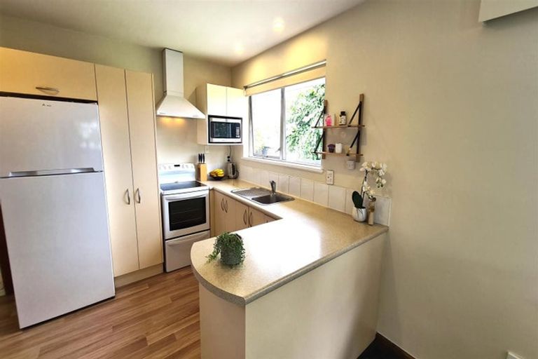 Photo of property in 50 Nancy Avenue, Mairehau, Christchurch, 8052