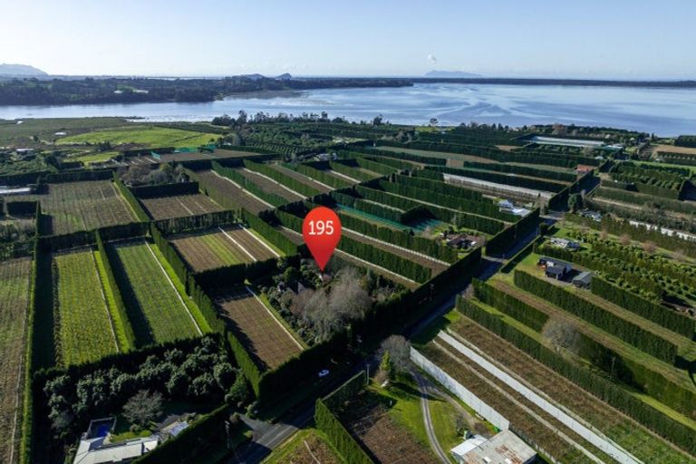 Photo of property in 195 Beach Road, Katikati, 3178