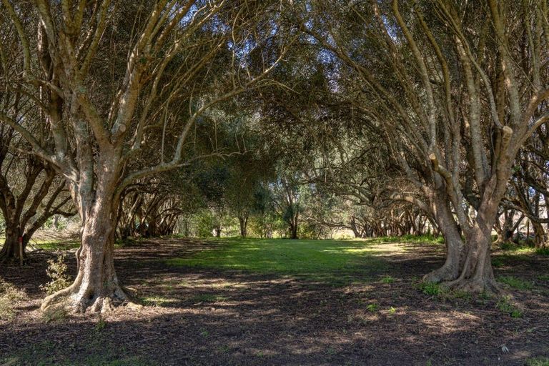 Photo of property in 46 Mahanga Road, Pataua South, Parua Bay, 0192