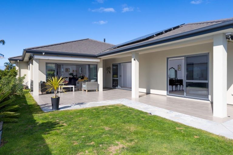 Photo of property in 228 Avondale Road, Greenmeadows, Napier, 4112