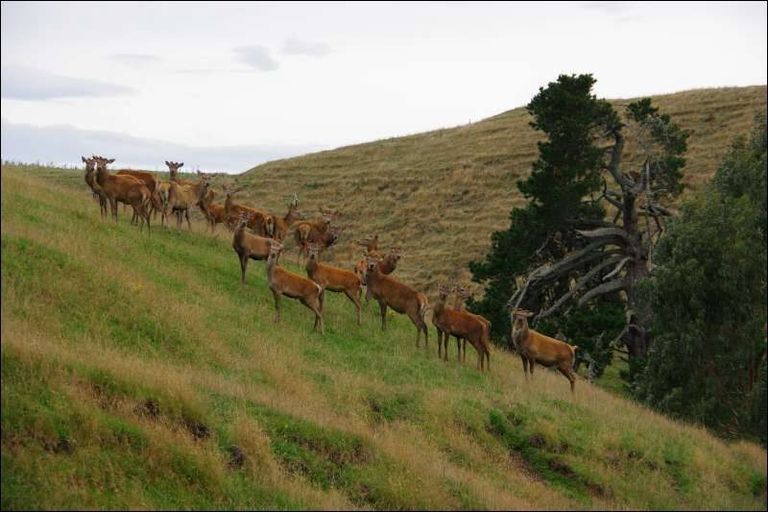 Photo of property in 78 Tuhingamata Road, Oruanui, Taupo, 3384