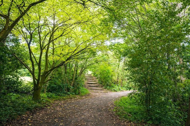 Photo of property in 50 Kimihia Road, Huntly, 3700