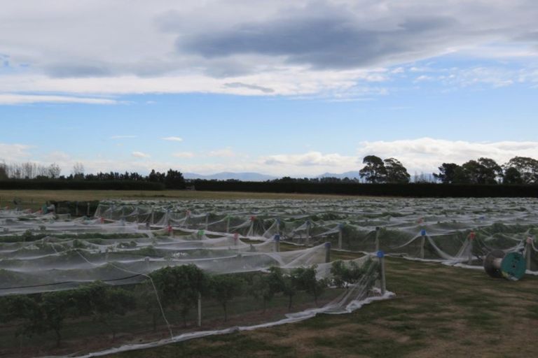 Photo of property in 22 Laings Road, Tinwald, Ashburton, 7775