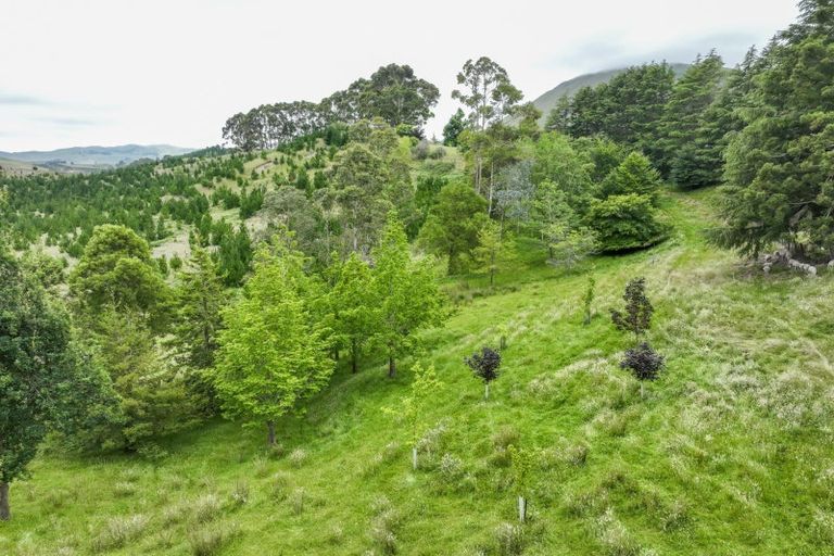 Photo of property in 1544 Kahuranaki Road, Kahuranaki, Havelock North, 4295