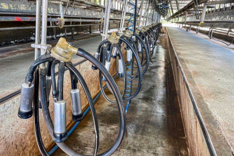 Photo of property in 72 Pilling Road, Tomarata, Wellsford, 0974