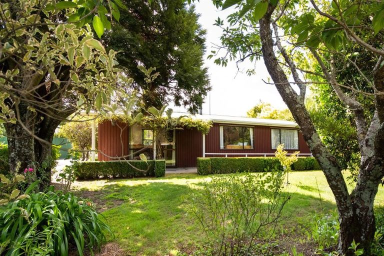 Photo of property in 4 Nelson Place, Renwick, 7204