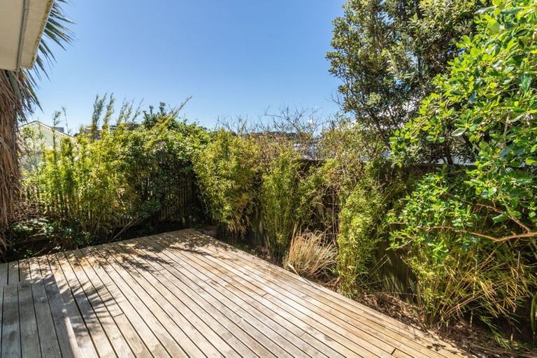 Photo of property in 3/27 Kenwyn Terrace, Newtown, Wellington, 6021