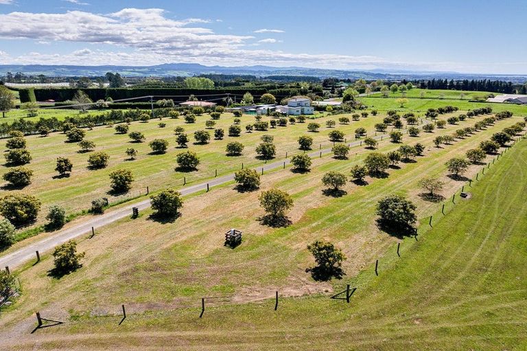 Photo of property in 390 Hereford Road, Oropi, Tauranga, 3173